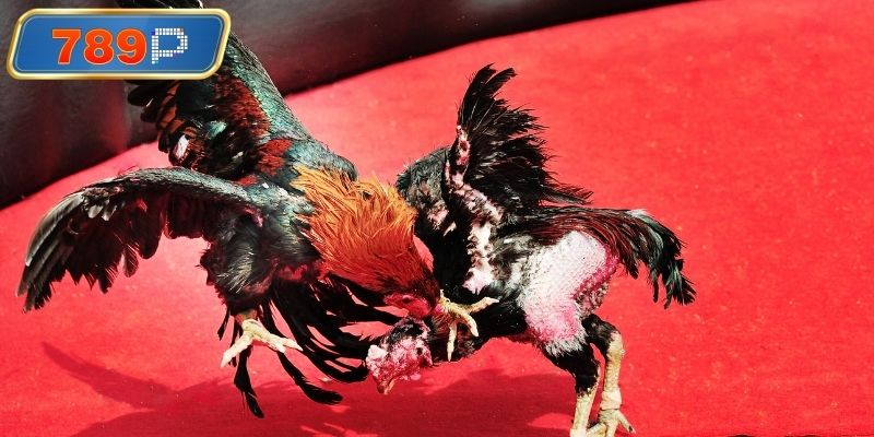 Cơ chế bảo mật dữ liệu an toàn tuyệt đối