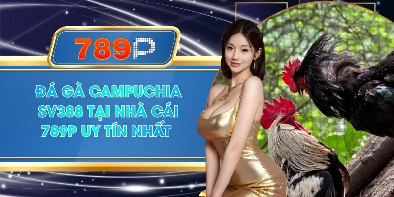 Đá Gà Campuchia Sv388 Tại Nhà Cái 789P Uy Tín Nhất