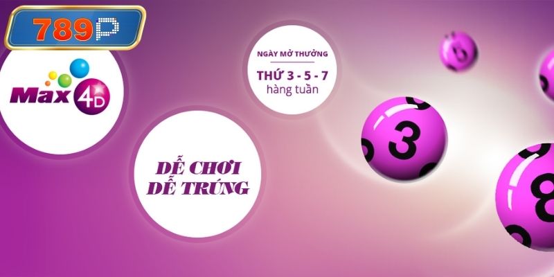 Phân chia tiền cược xổ số theo kế hoạch